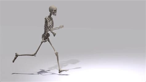 Running Skeleton Animation Stock Motion Graphics Sbv 300248435