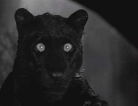 Daily Grindhouse Scorsese Screens The Leopard Man 1943 Daily