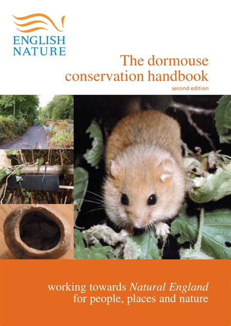 Pdf The Dormouse Conservation Handbook Second Edition