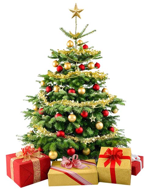 Please use and share these clipart pictures with your friends. Christmas tree PNG