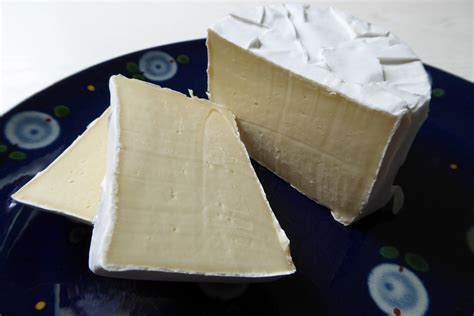 White Cheese Mold Penicillium Candidum Startercultureseu