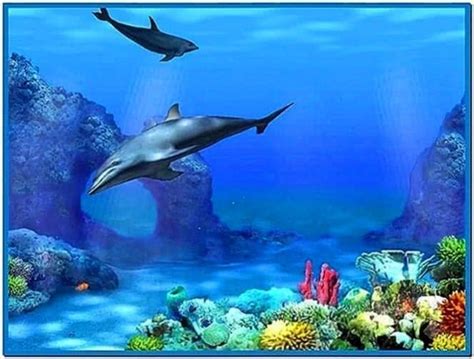 Living 3d Dolphin Screensaver Download Free
