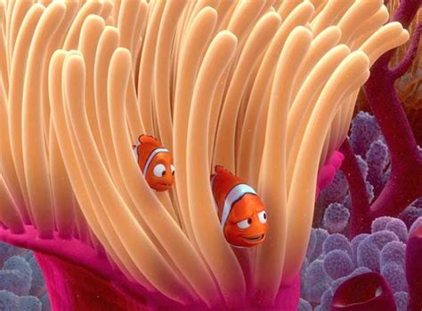 Why Is Nemo Sharing His Anemone Home 2ser