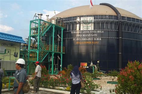 Conversion of crude palm oil to refined oil involves removal of the products of hydrolysis and oxidation, colour and flavour. The challenge of using palm oil mill effluent to generate ...