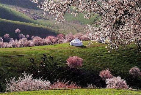25 Unbelievably Stunning Views of Xinjiang | FarWestChina | Landscape photos, Xinjiang, Scenery