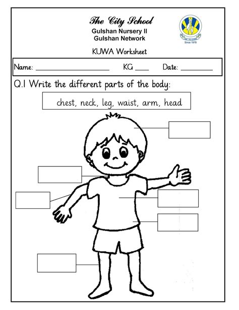 #6 body part activity for preschoolers: Image result for urdu worksheets for nursery | American ...
