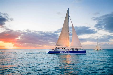 Dolphin Watch Sunset Sail With Premium Wine And Tapas Pairings Tripshock