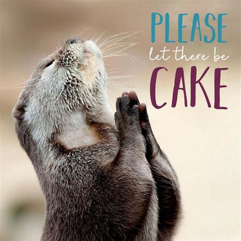 Praying Otter Birthday Card Ocado