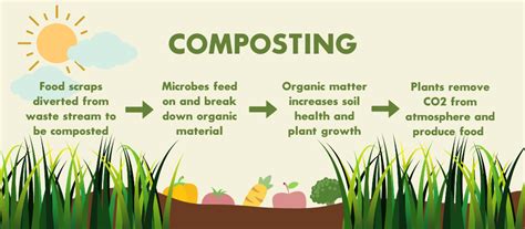 Yale Experts Explain Compost Yale Sustainability