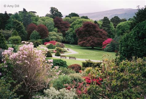 Muckross House Gardens And Traditional Farms Killarney National Park