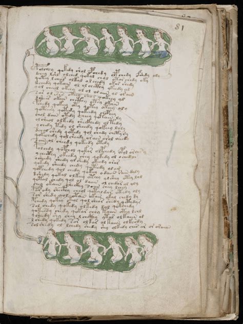 Projekt Held Das Voynich Manuskript