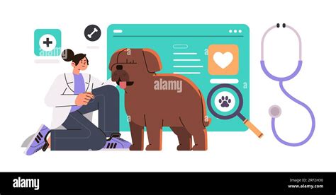 veterinarian doctor with stethoscope checking up dog health medicine