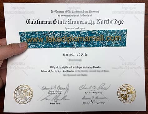 Look through examples of bachelor's degree translation in sentences, listen to pronunciation and learn grammar. CSUN Fake Diploma, California State University Northridge ...
