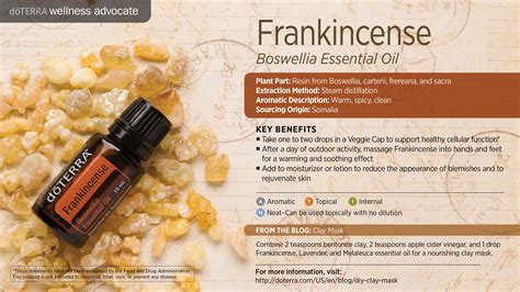 Frankincense Oil Doterra Essential Oils