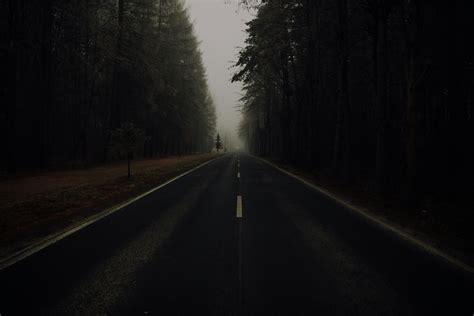 Gray Asphalt Road In Dark Forest · Free Stock Photo