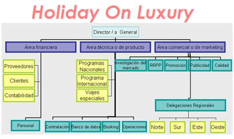 Agencia De Viajes Holiday On Luxury 3 Organigrama