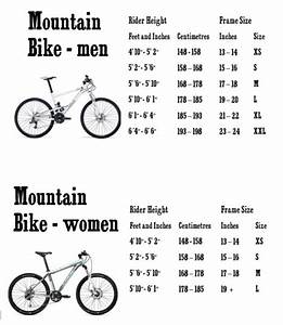 Mountain Bike Sizing For Adults What You Should Know