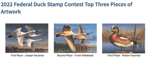 Artist Joe Hautman Wins 2022 Federal Duck Stamp Grand View Outdoors