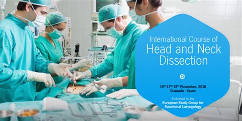 International Course Of Head And Neck Dissection Sborl Sociedad