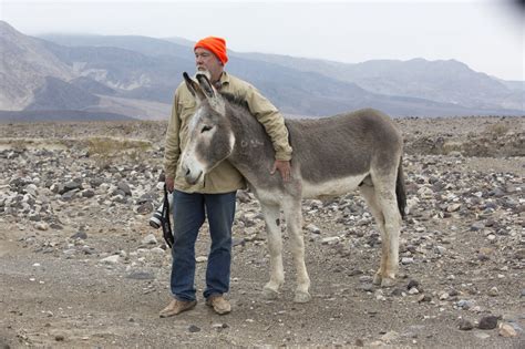 The Donkey Refuge Where Burros Become Coyote Kicking Livestock