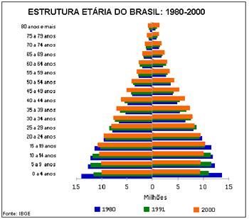 The changing age distribution of the brazilian. População brasileira: Crescimento, fecundidade e outros ...