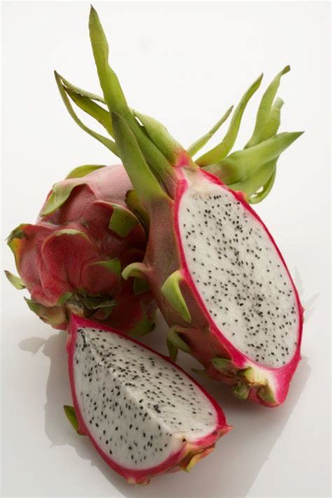 The fruits are ripe enough to harvest when the glochids fall off. How to Grow Dragon Fruit From Cuttings | Dragon fruit ...