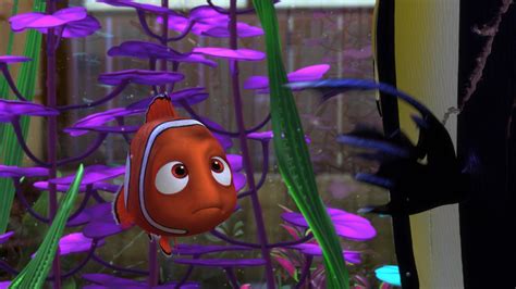 Finding Nemo Screencap Fancaps