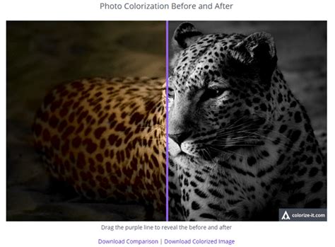 Cara Merubah Foto Hitam Putih Jadi Foto Berwarna Mudah Tanpa Aplikasi