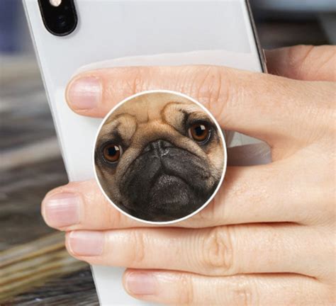 Pug Face Phone Pop Grip Phone Socket With For Smartphone And Etsy