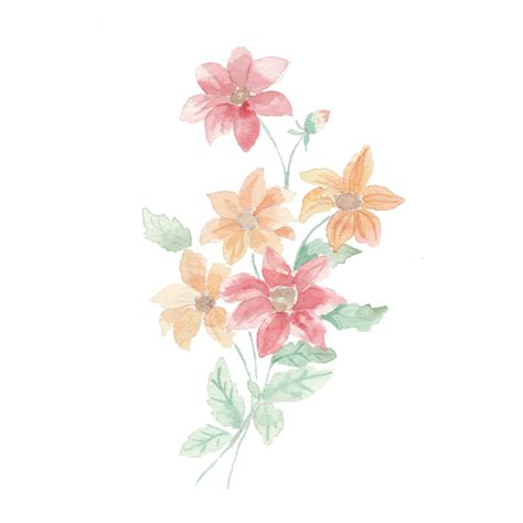 Hình ảnh Hoa Dại đầy Màu Sắc Màu Nước Bó Hoa Png Lễ Cưới Bông Hoa