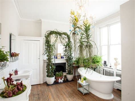 Houseplants That Thrive In Your Bathroom Plantas No Banheiro Plantas