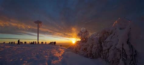 Stunning Panorama Background Of Snowy Frozen Trees Firs Landscape In