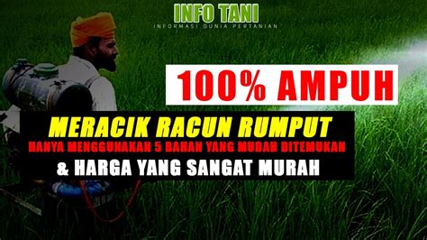 Racun rumput atau yang biasa disebut juga dengan herbisida akan memunculkan efek yang bervariasi ketika diaplikasikan pada gulma. Cara Meracik Racun Rumput 100,% Ampuh - Info Tani - YouTube
