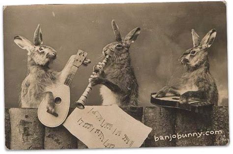 20 Funny Vintage Photos Show Animals Playing Musical