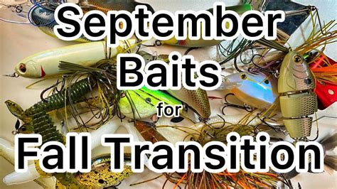 The Baits To Use In September Bass Fishing Fall Transition Youtube