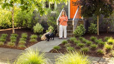 Backyard Ideas For Dogs Dog Friendly Garden Dog Backyard Dog