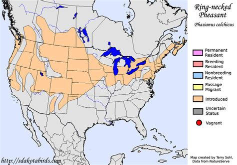 Ring Necked Pheasant Species Range Map
