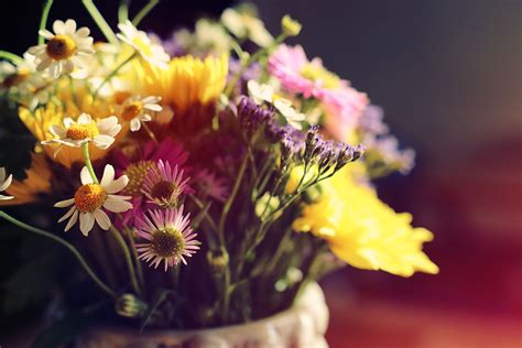 Celebrating Lives: Our Obituary Collection - Remembering Those We’ve