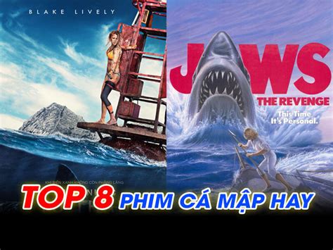 Top 8 Phim Cá Mập Hay Rùng Rợn Gây Ám Ảnh Người Xem