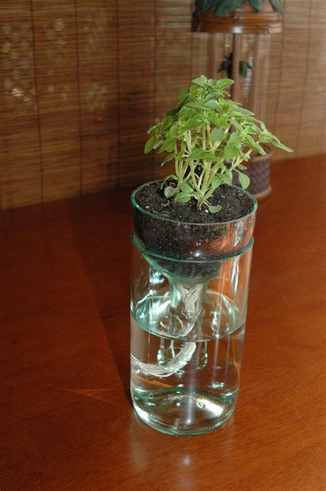 Self Watering Planter Made From Recycled Wine Bottle Perfect Etsy