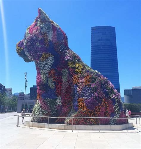 Visita A Bilbao Puppy