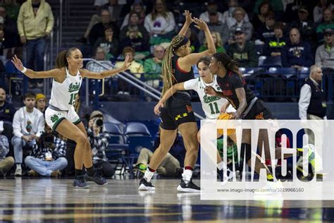 Ncaa College League Usa Womens Basketball Maryland Vs Notre