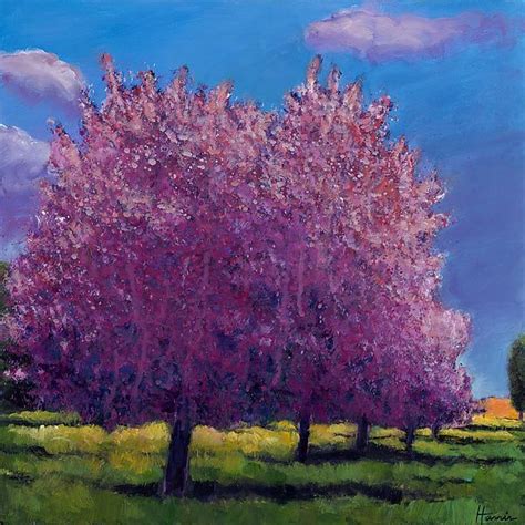 Browse 198 photos of cherry blossom landscaping. Cherry Blossom Day by Johnathan Harris (Giclee Print ...