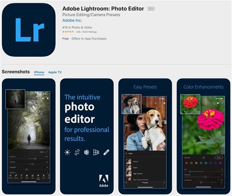 Lightroom Mobile App Tutorial Everything You Need To Know