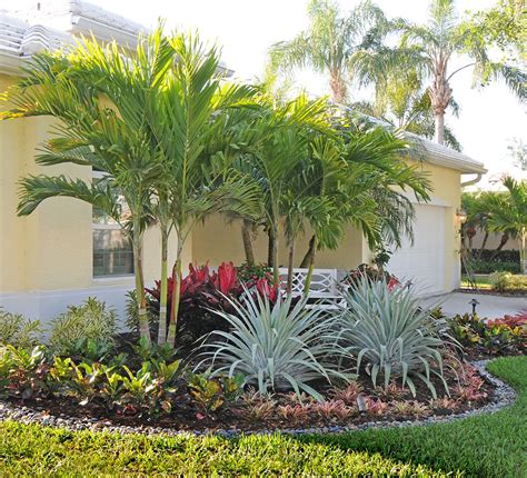 Lovely Tropical Landscape Featuring Bromelaids Crotons And Palms