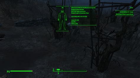 Really A Beginner A Help Fallout 4 Technical Support Loverslab