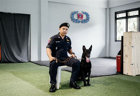 พิทักษ์ รัก สุนัข เรื่องราวของหน่วย K 9 ที่เป้าหมายคือความปลอดภัย