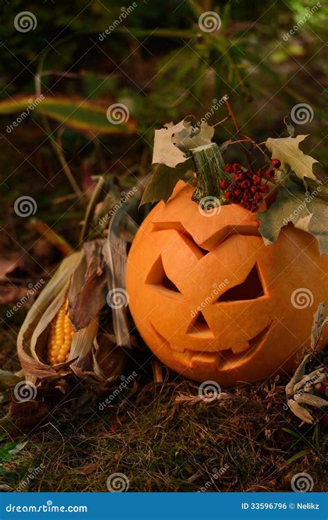 Halloween Scary Pumpkin In Autumn Forest Stock Photo Image Of