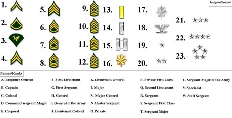 U S Army Units Graphic Army Structure Military Ranks Army Ranks Vrogue