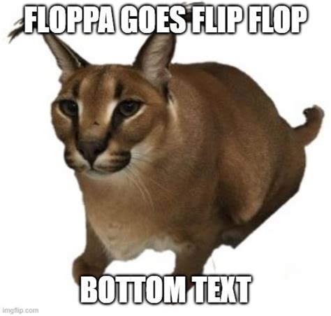 Floppa Imgflip